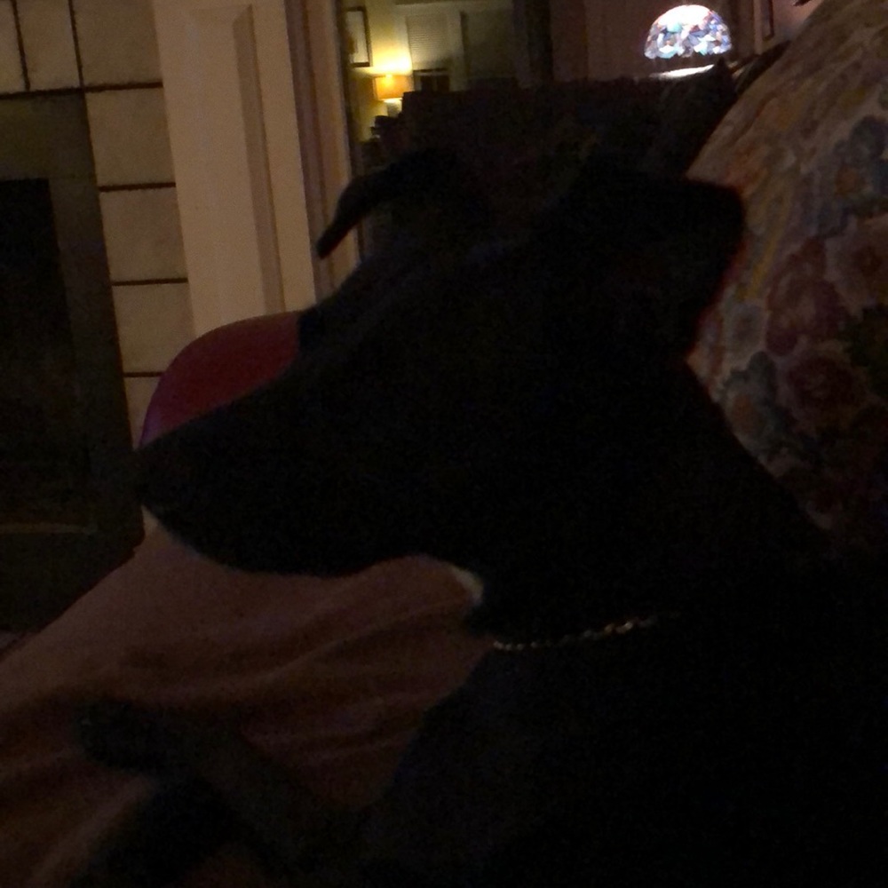 Meet your Posher, Jody